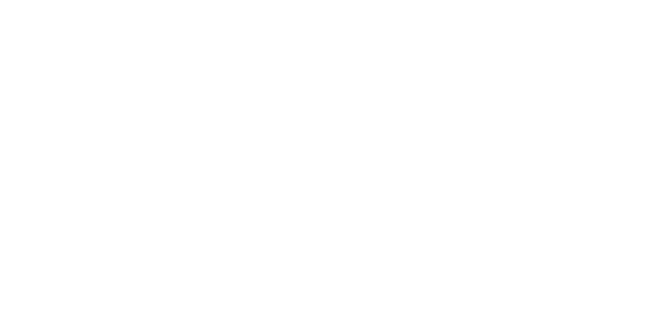 Secure Checkout Powered by Stripe